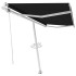 Toldo de pie automático gris antracita 450x300