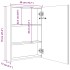 Mueble de baño con espejo LED 50x13x70