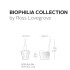 Silla Biophilia by Vondom