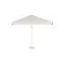 Descontaminante Parasol