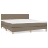 Cama box spring con colchón tela gris taupe 160x200