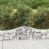 Cestas de gaviones 2 uds forma de arco hierro 200x30x40/60