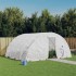 Invernadero con estructura de acero blanco 20 m² 5x4x2,3