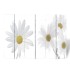Biombo divisor plegable 217x170 cm
