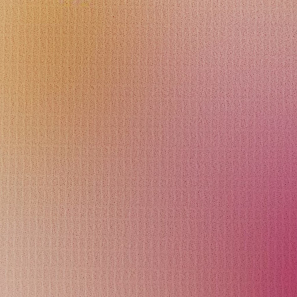 Biombo divisor plegable 217x170 cm