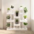 Soporte para plantas madera maciza pino blanco