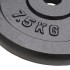 Discos de pesas de hierro fundido 4 uds 4x7,5