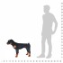 Perro rottweiler de peluche de pie negro y marrón