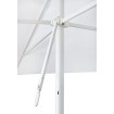 Descontaminante Parasol