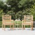 Sillas de jardín 2 uds madera maciza pino 60x48x91