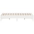 Estructura de cama sin colchón madera de pino blanca 120x200