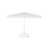 Rio Parasol