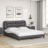 Estructura de cama con luces LED cuero PE gris 160x200