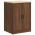 Garage Cabinets 6 pcs Brown Oak Engineered
