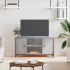 Mueble de TV madera contrachapada gris Sonoma 100x40x50
