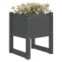 Jardinera 2 unidades madera maciza de pino gris 40x40x52,5