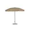 Palma Parasol