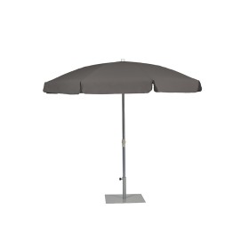 Palma Parasol