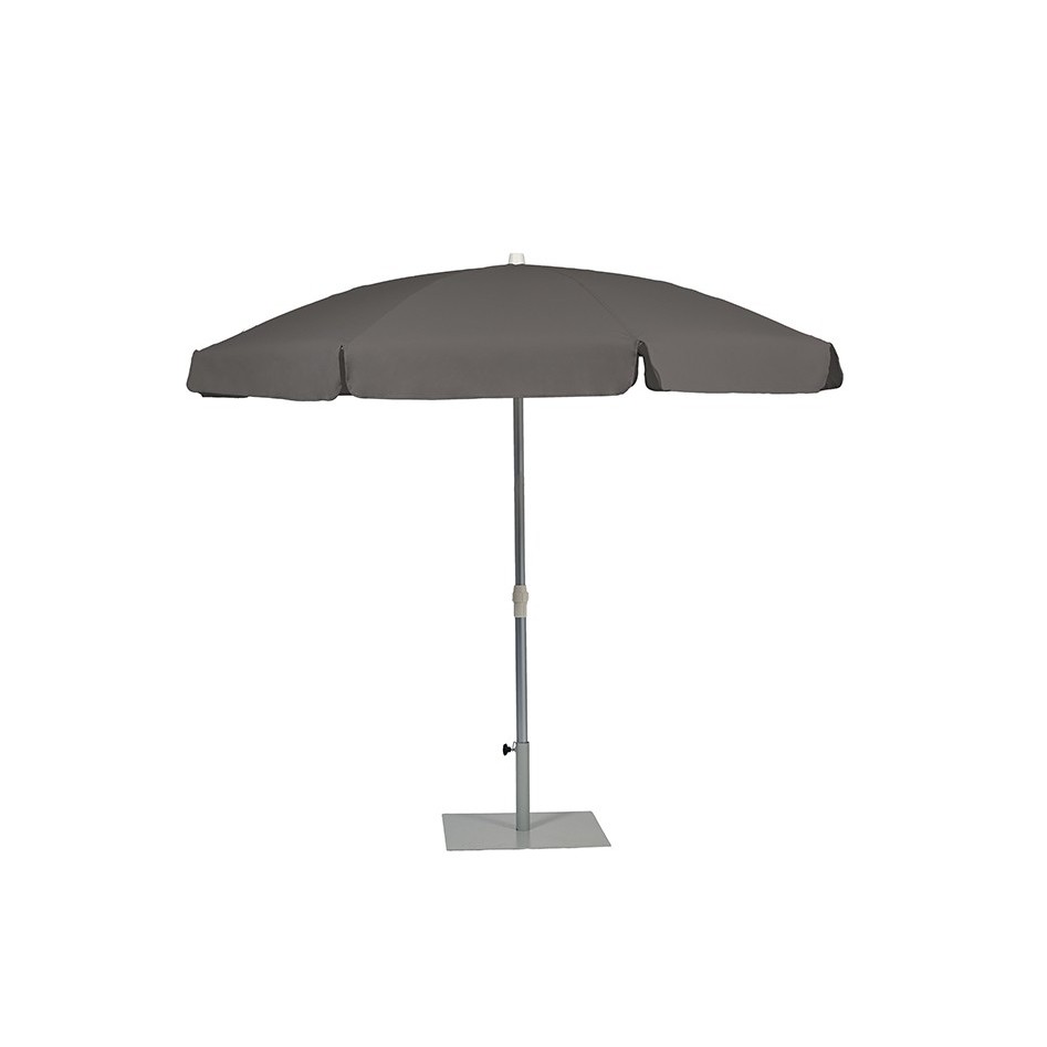 Palma Parasol
