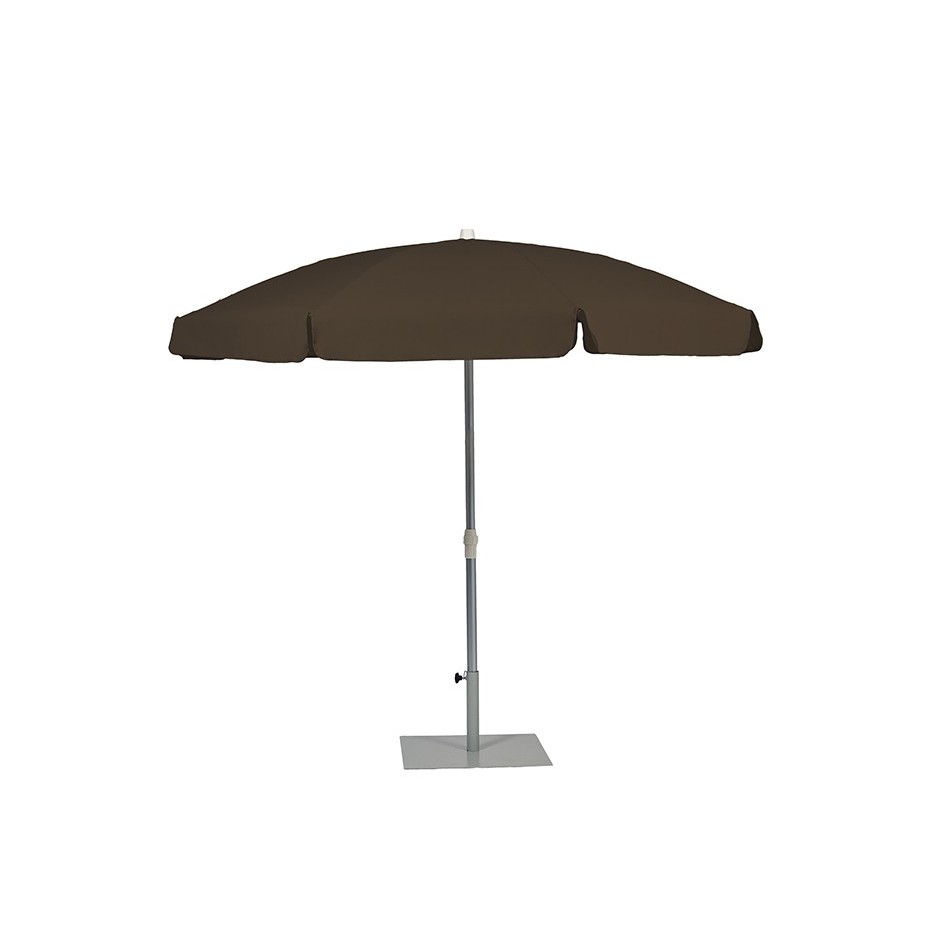 Palma Parasol