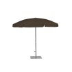 Palma Parasol