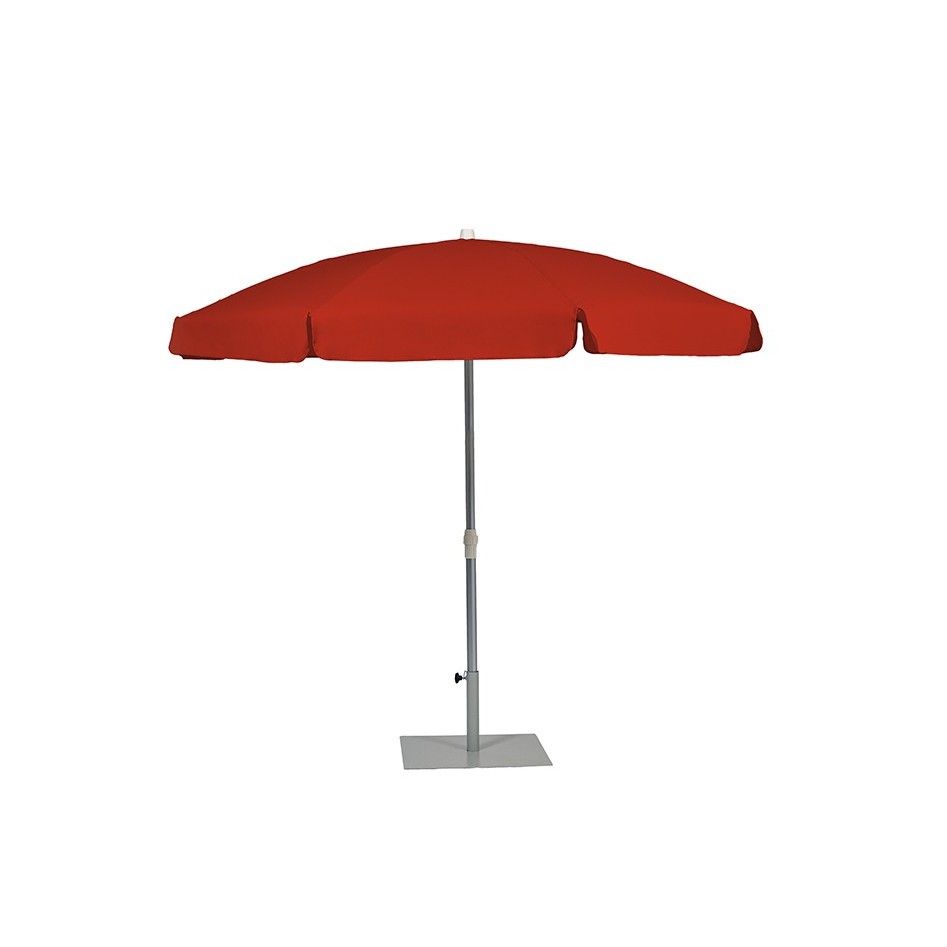 Palma Parasol