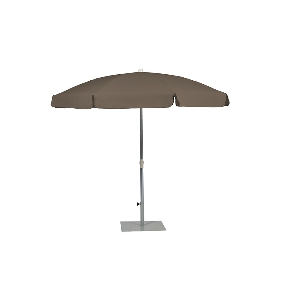 Palma Parasol