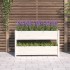 Jardinera de madera maciza de pino blanco 112x25x66
