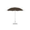 Palma Parasol