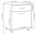 Armario ruedas madera contrachapada roble ahumado 45x38x54