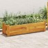 Arriate de madera de acacia 100x30x25