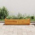 Arriate de madera de acacia 100x30x25