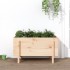 Arriate elevado de jardín madera maciza de pino 101x50x57