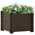 Arriate de jardín PP mocha 43x43x35