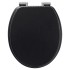 Tiger Asiento de WC de cierre suave Blackwash MDF negro