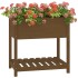 Jardinera con estante madera maciza marrón miel 82,5x54x81