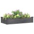 Jardinera arriate forro madera maciza abeto gris 120x60x25