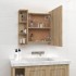 Mueble con espejo y luces LED roble Sonoma 70x16,5x60