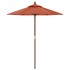 Sombrilla de jardín con poste de madera terracota 196x231