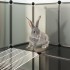 Jaula para animales pequeños negro PP y acero 142x74x93