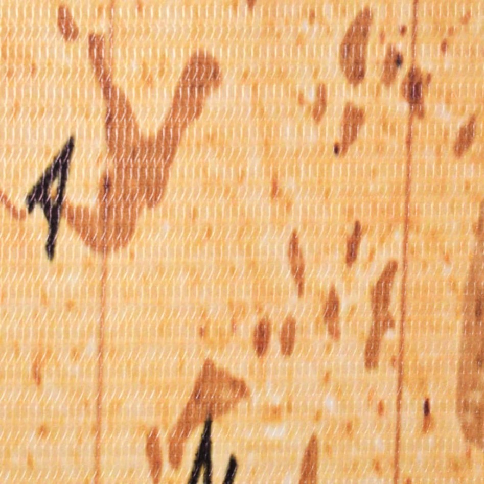 Biombo divisor plegable 160x170 cm mapamundi