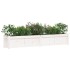 Jardinera de madera maciza de pino blanca 180x31x31