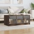 Mesa de centro con puertas de vidrio marrón roble 102x50x42