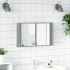 Armario espejo de baño con luz LED acrílico gris 80x12x45