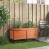 Jardinera de madera maciza pino marrón cera 100x40x50