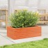 Jardinera de madera maciza pino marrón cera 70x40x23