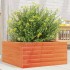 Jardinera de madera maciza de pino marrón cera 50x50x23