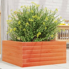 Jardinera de madera maciza de pino marrón cera 50x50x23