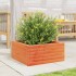Jardinera de madera maciza de pino marrón cera 50x50x23