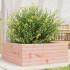 Jardinera de madera maciza de abeto Douglas 60x60x23